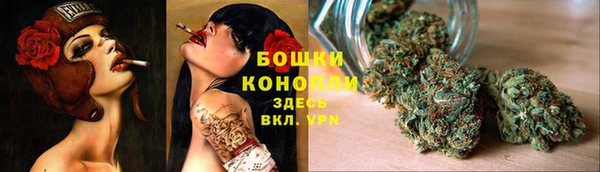 ГАЛЛЮЦИНОГЕННЫЕ ГРИБЫ Белоозёрский