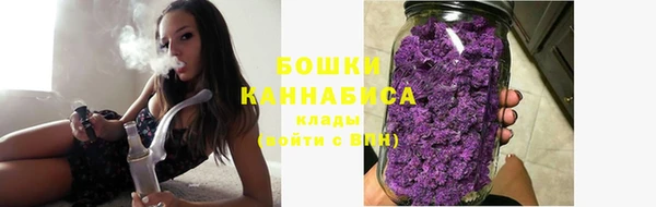 PSILOCYBIN Сясьстрой