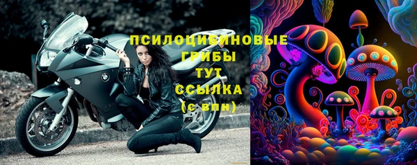 ГАЛЛЮЦИНОГЕННЫЕ ГРИБЫ Белоозёрский