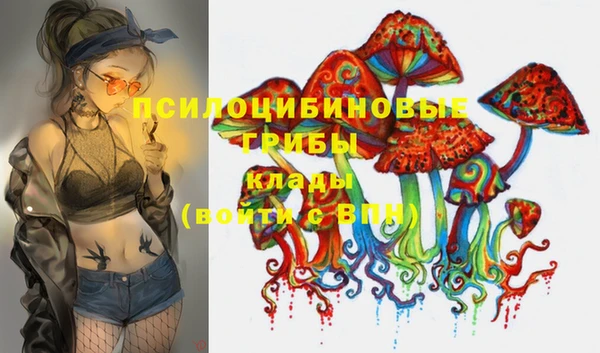 ГАЛЛЮЦИНОГЕННЫЕ ГРИБЫ Белоозёрский