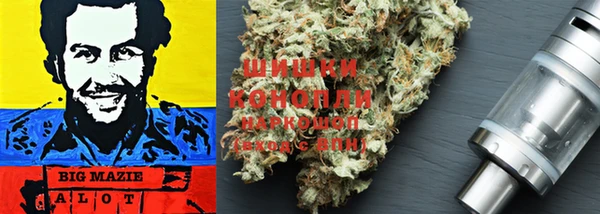 ГАЛЛЮЦИНОГЕННЫЕ ГРИБЫ Белоозёрский