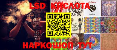 гашик Камышлов