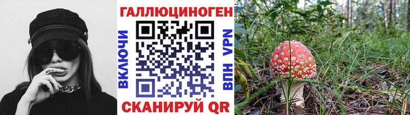 Галлюциногенные грибы Psilocybe  Кушва 