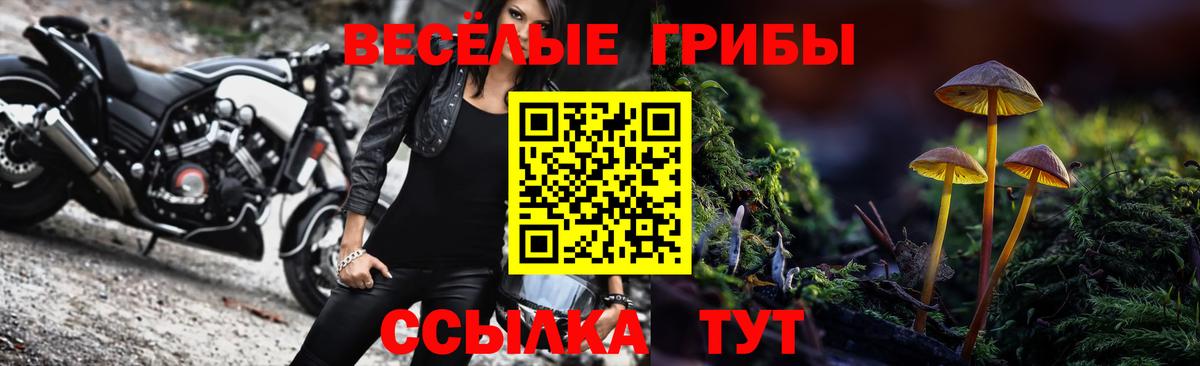 Галлюциногенные грибы GOLDEN TEACHER Кушва