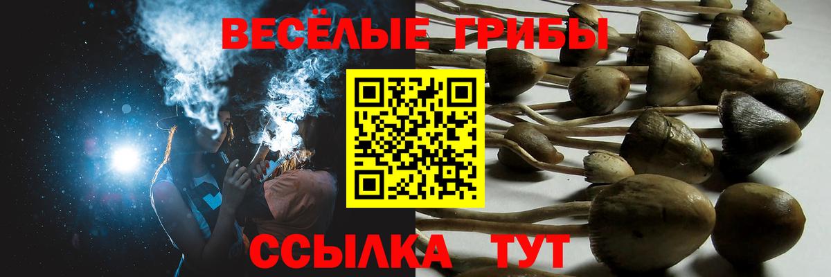 Галлюциногенные грибы Psilocybine cubensis  Вход с VPN  Кушва 
